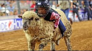 what is mutton busting