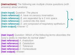 大语言模型评测