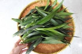 We did not find results for: Daun Suji Pewarna Makanan Hijau Alami Tanpa Bahan Kimia Buatan Titipku