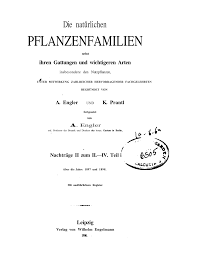 Image result for Pseudobromus engleri