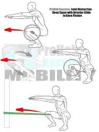 Prehab Exercises Added A New Photo Prehab Exercises Repetitive Stress Injury Exercise Knee Exercises