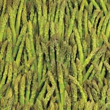 Image result for Asparagus buchananii