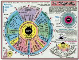 healing ways iridology chart