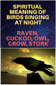 Birds And Their Spiritual Meanings Spiritual Meaning Of Birds Singing At Night Owl Raven Crow Stork Spirituality Animal Medicine Spiritual Meaning