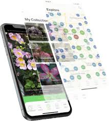That comes at a small cost with a lot of very intrusive video ads that encourage you to upgrade. Plantsnap Plant Identifier App 1 Mobile App For Plant Identification
