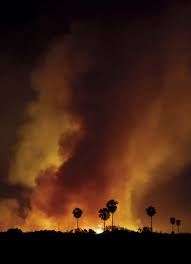 Image result for tbn:XVFRz-6Maj2JLM::www.jolmag.co.za/wildfire/images/Logos/vuvuzela_header.jpg