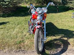 Image result for Bright Victory Red 1994 FXR