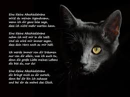 Eine Kleine Abschiedstrane Wirst Du Weinen Irgendwann Trauergedicht Anubis Tierbestattung Gedichte Trauer Spruche Katze Haustier Erinnerung