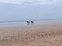 St Jean De Monts Vendee Saint Jean