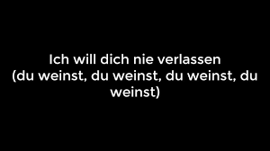 Look at it like 'mein land' that song makes fun of people who think it's their land. Rammstein Deutschland Instrumental Lyrics Youtube