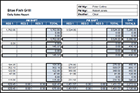 Excel is software that lets you create tables and. Daily Sales Report