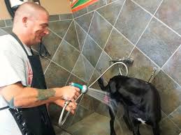 We would like to show you a description here but the site won't allow us. Diy Dog Wash Petvalu