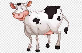 Secara umum ada dua jenis sapi yang dipelihara Kalb Clipart Png Pngwing