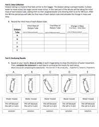 Check spelling or type a new query. Virtual Cell Homeostasis Osmosis Lab By Amy Walker Tpt