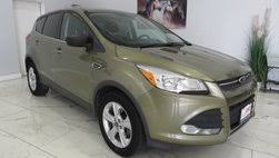 Image result for Lime Squeeze 2012 Escape