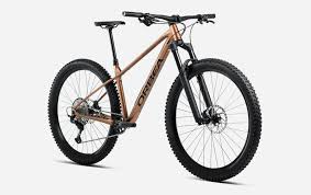 Image result for Orbea knobelii
