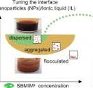 Design of concentrated colloidal dispersions of iron oxide ...