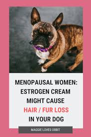 📩 automatically receive mpmd articles when they are published: Estrogen Cream Causes Hair And Fur Loss In A Dog Maggielovesorbit Com