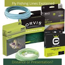 A floating fly line is the most versatile of all fly lines and it is one that you should always have in your tackle box. Fly Fishing Lines Explained A Guide For The Beginner