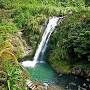 Profile Picture of Beausejour Bay - All You Need to Know BEFORE You Go (2024) (@tripadvisor.com) on Google