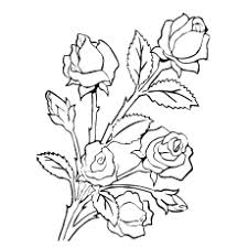 Black and white pattern for coloring book for adults with adorable unicorn and roses background. Top 25 Free Printable Beautiful Rose Coloring Pages For Kids