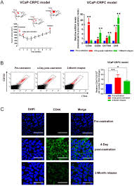 Chung l.w.k., isaacs w.b., simons j.w. Nuclear Receptor Profiling In Prostatospheroids And Castration Resistant Prostate Cancer In Endocrine Related Cancer Volume 25 Issue 1 2018