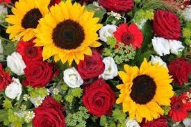 Here are 13 awesome wallpapers you will love. Bright Yellow Sunflowers And Big Red Roses In A Floral Arrangement Sunflowers And Roses Red Roses Wallpaper Red Roses And Sunflowers