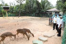 Jadwal buka & harga tiket / sewa. Wisata Taman Rusa Danau Teratai Batam Berkonsep Urban Dan Natural