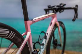 What a cool experience to go to buckingham palace and meet prince…» The Bermuda Themed Specialized Tarmac Of Flora Duffy Slowtwitch Com