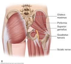 Vitalsource bookshelf is the world's leading platform for distributing, accessing, consuming, and engaging with digital textbooks and course materials. Faithinmyfather Mattsnavely April 2021