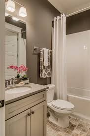38 Best Bathroom Color Scheme Ideas For 2020 Craft Home Ideas Small Bathroom Remodel Diy Bathroom Remodel Small Full Bathroom
