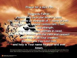 Roman catholic prayer catholic prayer for a sick pet. Prayer For Sick Pet Sick Pets Prayer For Sick Dog Prayer For The Sick