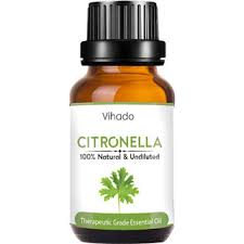 Place 4 ounces of dried citronella leaves into a small jar and fill it with isopropyl alcohol, also known as rubbing alcohol. Buy Best Citronella Essential Oil For Candle Making And Torches Skin Use 30 Ml Pack Of 1 Online Get 57 Off
