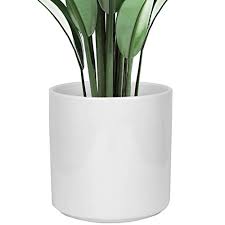 White ceramic plant pots indoor. Buy Shiny White Ceramic Cylinder Plant Pot With Drainage 1 Pack 8 Inch Large Ceramic Modern Round Planter Pot Glazed Flower Pots With Removable Rubber Plug For Indoor Outdoor Plant Online In