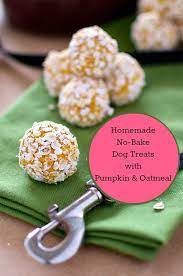 Homemade No Bake Dog Treats With Pumpkin And Oat Recipe No Bake Dog Treats Dog Treat Recipes Pumpkin Dog Treats