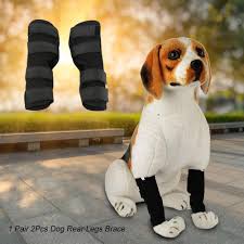 Firstly, it lifts and supports the dog's rear end, holding the hips in place. Buy Dog Leg Protector Dog Leg Brace High Quality Wound Protector For Pets For Dog Heal Tool At Affordable Prices Free Shipping Real Reviews With Photos Joom
