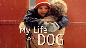 Prime Video: My Life As A Dog