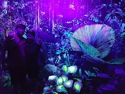 Cuma bila anda naik ke atas, anda akan masuk ke kawasan gelap dengan lukisan yang glow in the dark. Dark Mansion 3d Glow In The Dark Museum Izobrazhenie Dark Mansion 3d Glow In The Dark Museum Ostrov Penang Tripadvisor