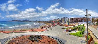 Image result for Cicer