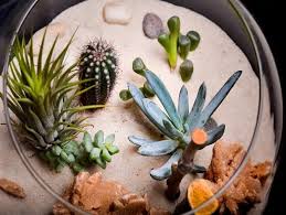 Image result for Terrarium Cling Background