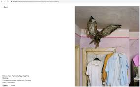 Image result for tbn:rrlNUrrVRKMcnM::www.swahl.com/photo/data/media/37/photo29-0003.JPG