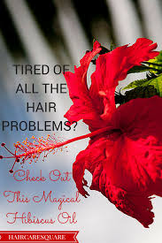 Dried hibiscus flowers for hair. Diy Hibiscus Hair Oil For Hair Growth And Amazing Hair