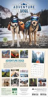 Adventure Dogs 2020 Wall Calendar Hiking Camping And Traveling With Courageous Canines Dog Adventure Dogs Pets