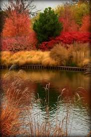210 Autumn Water ideas