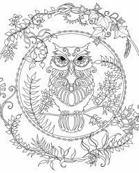 Jul 01, 2021 · generally known for being a children's activity, coloring books for adults started successfully publishing around 2013. Enchanted Forest Owl Free Printable Coloring Pages Voteforverde Com Coloring Home