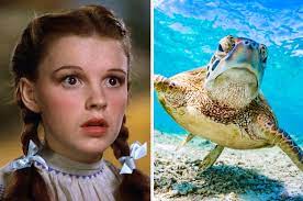 Happy anniversary, wizard of oz! Dailytriviaquiz Buzzfeed