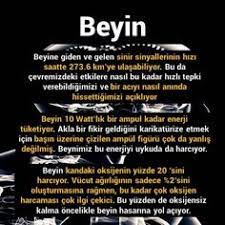 Allah I Sevmek Adli Kullanicinin Allah Herseyi Yoktan Yaratandir Adnan Oktar Panosundaki Pin