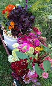 We offer a full selection of products, both retail and wholesale. Farmer S Market Flowers In Winston Salem Flower Csa Bouquets