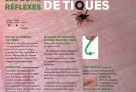 Kyste sous la peau : Piqures De Tiques Attention Macommune Info