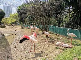 Poliklinik/ruang p3k yang terdapat di dalam gedung taman bunga nusantara. Taman Burung Kuala Lumpur Tempat Percutian Pertama Waktu Pkpp Ceritera Si Gadis Biru
